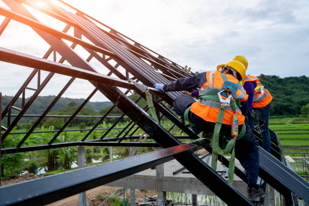 Best Metal Roofing Contractor  in Wallace, NC