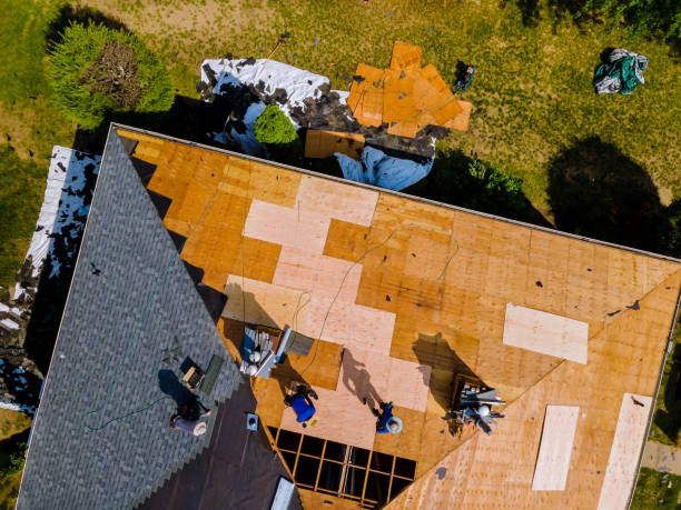 Best Residential Roofing Contractor  in Wallace, NC